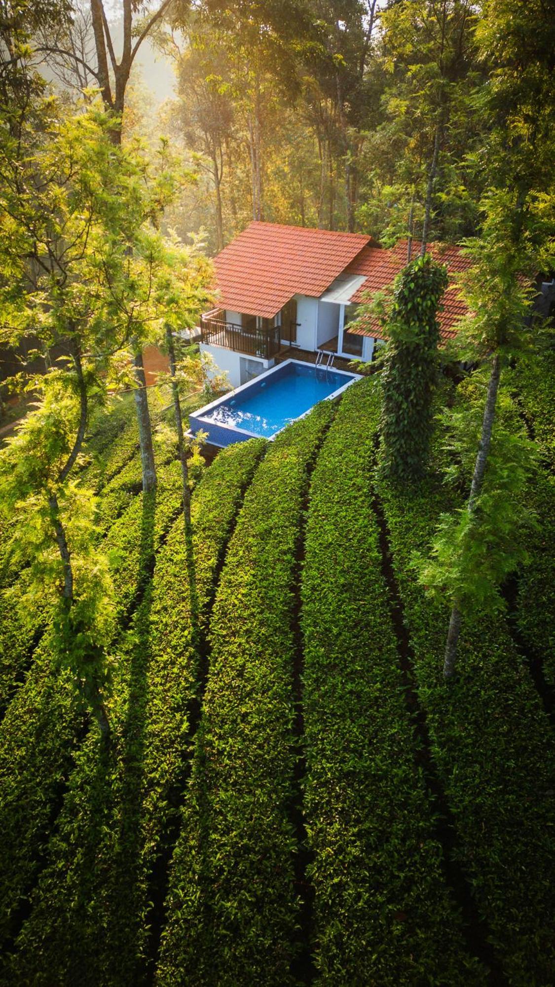 Tealawn Pool Villa, Munnar Zewnętrze zdjęcie