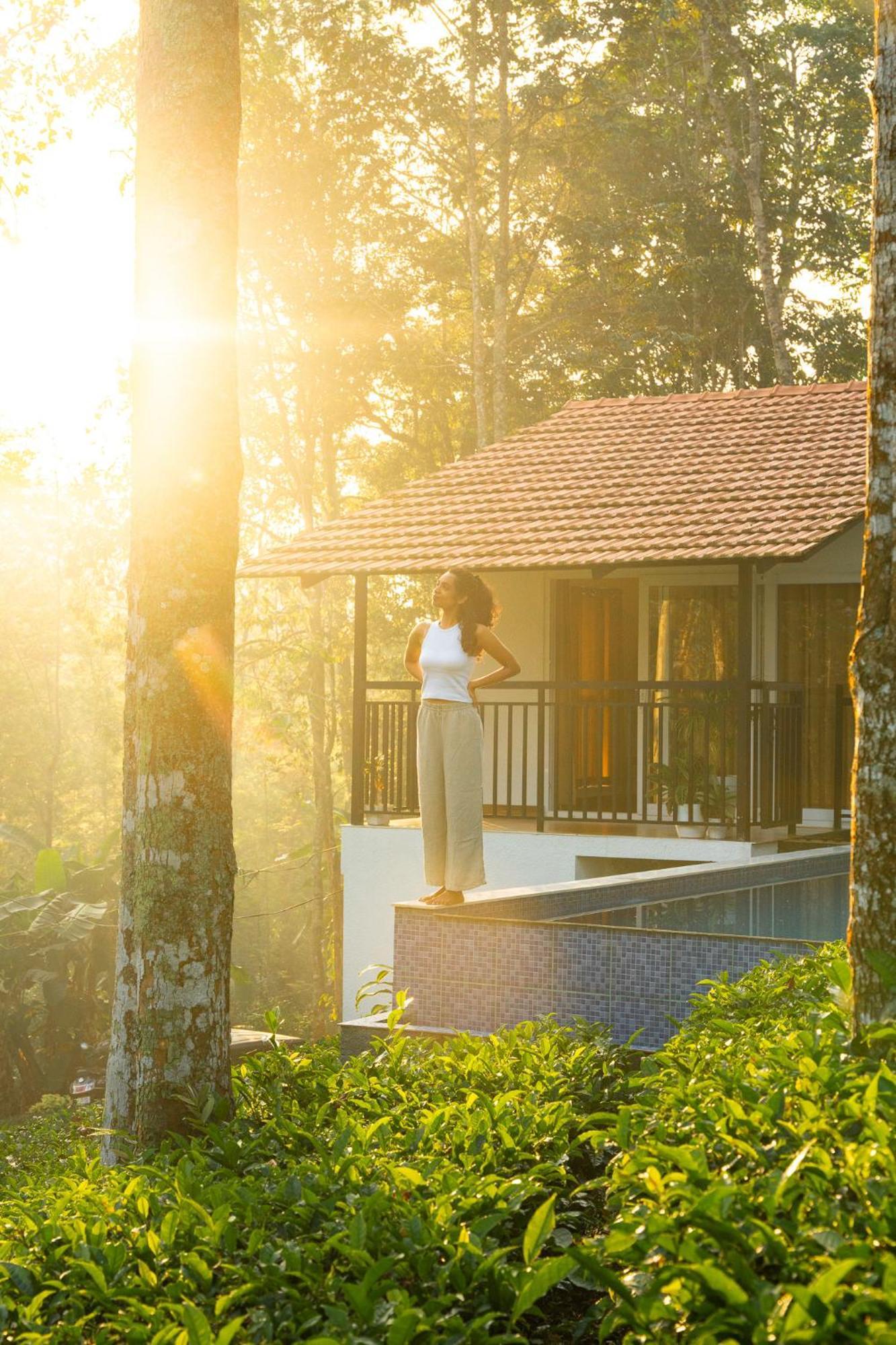 Tealawn Pool Villa, Munnar Zewnętrze zdjęcie